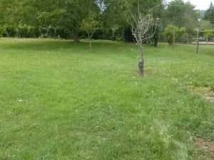 Vente terrain 500 m² à Arbanats (33640)  115 000 €