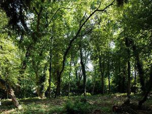 Terrain à vendre à Deurle € 1.585.000 (LEHUB) - IRRES BVBA | Zimmo