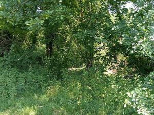 Propriété de loisirs à vendre