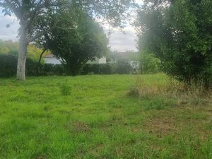 Vente terrain 325 m² à Tours (37000)  117 000 €