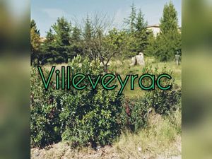 Vente terrain 325 m² à Villeveyrac (34560)  145 000 €