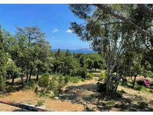 Achat Terrain 2 505m² GRIMAUD 83310