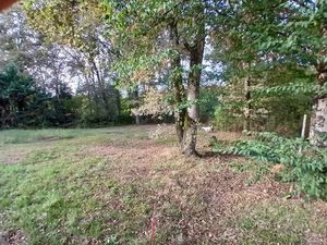 Vente terrain 2028 m² à Haux (33550)  110 000 €