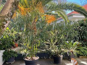 Vente Maison à Bayonne (64100) : à vendre / 156m² Bayonne