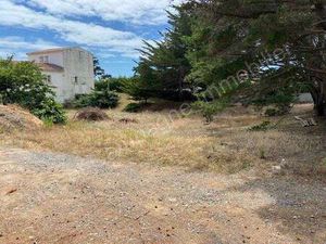 Vente Terrain à Bretignolles-sur-Mer (85470) : à vendre / 344m² Bretignolles-sur-Mer