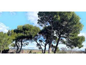 Maison avec piscine et jardin Capestang (34)