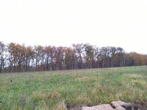 Terrain constructible viabilisé à vendre