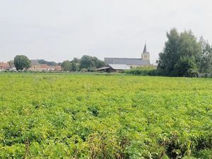 Vente terrain 410 m² à Audruicq (62370)  69 000 €