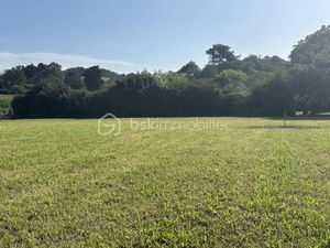 Vente terrain 884 m² à Souraïde (64250)  212 000 €