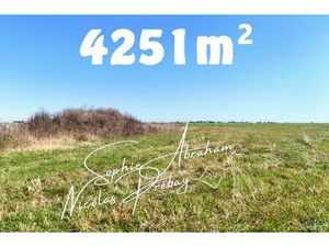 Grand Terrain constructible de 4251m² à la campagne