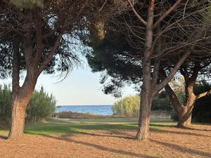 Vente appartement 3 pièces 34.5 m² à Poggio-Mezzana (20230)  111 000 €