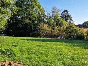 Terrain de loisirs boisé à vendre proche de VITTEL (88)