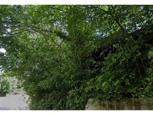 Vente terrain 478 m² à Breuillet (91650)  138 000 €