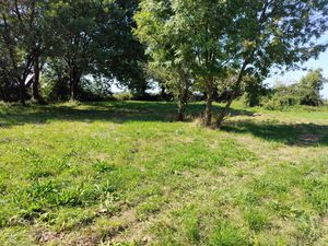 Terrain à bâtir 1 055 m² – Tesson (17460) – village de caractère proche Saintes