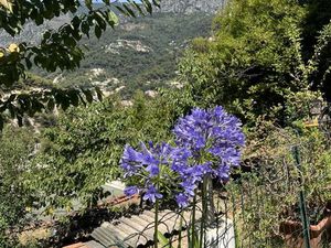 Terrain 1516 m² Menton