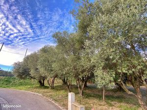 Terrain Castries 401 m2