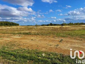 Terrain constructible viabilisé à vendre