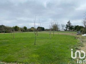 Terrain constructible viabilisé à vendre