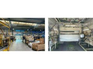 Local d'activités à vendre