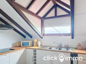 M. Thierry Thoulouze