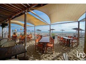 Vente Restaurant 1 500 m²