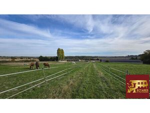 Ancien poney club sur 10 hectares -
