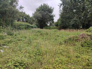 Vente terrain 1720 m² Lanrelas (22250)