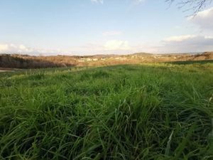 Vente terrain 615 m² à Antonne-et-Trigonant (24420)  36 000 €