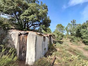 Vente terrain 3000 m² à Bédarieux (34600)  25 000 €