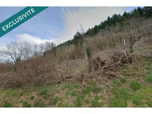 Vente terrain 2150 m² à Thiers (63300)  39 500 €