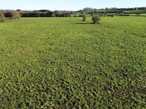 Terrain en vente à Rue Joseph Hannecart  Macon  Belgique | CENTURY 21®