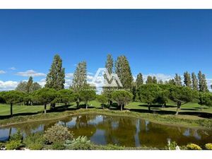 Maison de luxe à vendre dans le quartier Nord