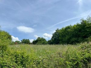 Vente terrain 8294 m² à Vignols (19130)  40 000 €