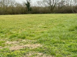 Vente Terrain à Ciré-d'Aunis (17290) : à vendre / 966m² Ciré-d'Aunis
