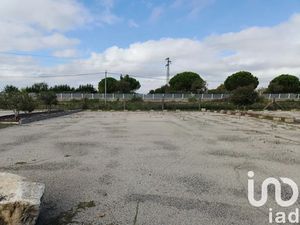 Vente terrain 2456 m² à Saint-Laurent-d'Aigouze (30220)  840 000 €