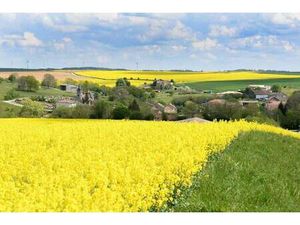 Terrain constructible viabilisé à vendre