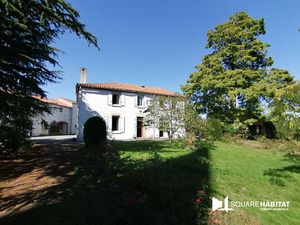 EN EXCLUSIVITE SUR LA COMMUNE de TOUTLEMONDE - MAISON DE CARACTERE de 248 m² avec de nombr