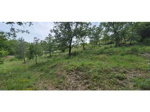 Terrain Saint-Paul-en-Forêt à vendre