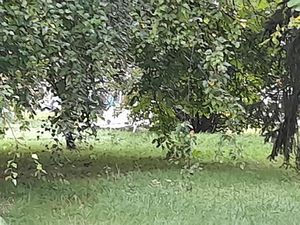 Annonce vente terrain terrain de 770m2 à Goincourt (60000) - ParuVendu.fr ref 992782696343