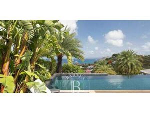 Villa avec piscine en bord de mer Saint-Barthélemy (971)
