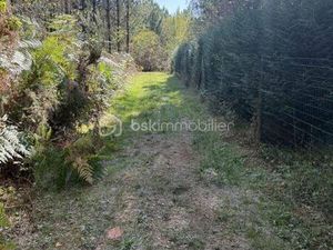 VANINA LEGEAY BSK IMMOBILIER