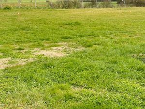 Terrain hors lotissement à Ciré-d’Aunis