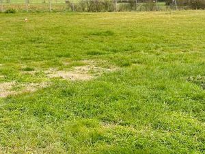 Vente Terrain à Ciré-d'Aunis (17290) : à vendre / 700m² Ciré-d'Aunis