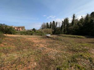 Vente terrain 900 m² Poggio-Mezzana (20230)