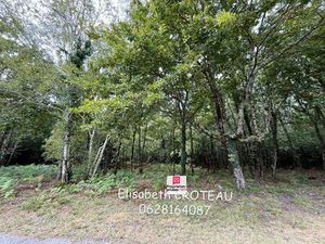 Terrain 2950 m2 zone N Sanguinet 40460