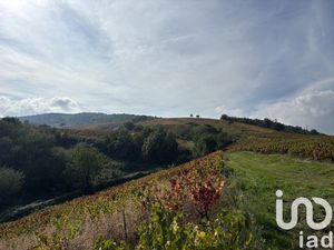 Vente maison 5 pièces 280 m² Quincié-en-Beaujolais (69430)