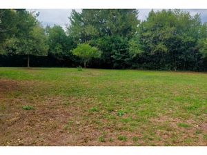 Annonce terrain à vendre