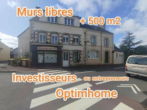 Vente immeuble 512 m² Avessac (44460)