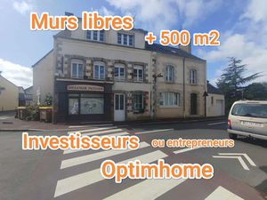 Annonce vente immeuble 13 pièces de 512m2 à Avessac (44460) - ParuVendu.fr ref 99278273837