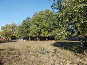 Terrain constructible viabilisé à vendre